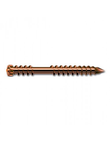 Šrouby pro terasové desky A2 SPAX-D 5x60 mm staré zlato (100 ks)