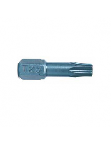 Bity RawlPlug TORX T25 25 mm